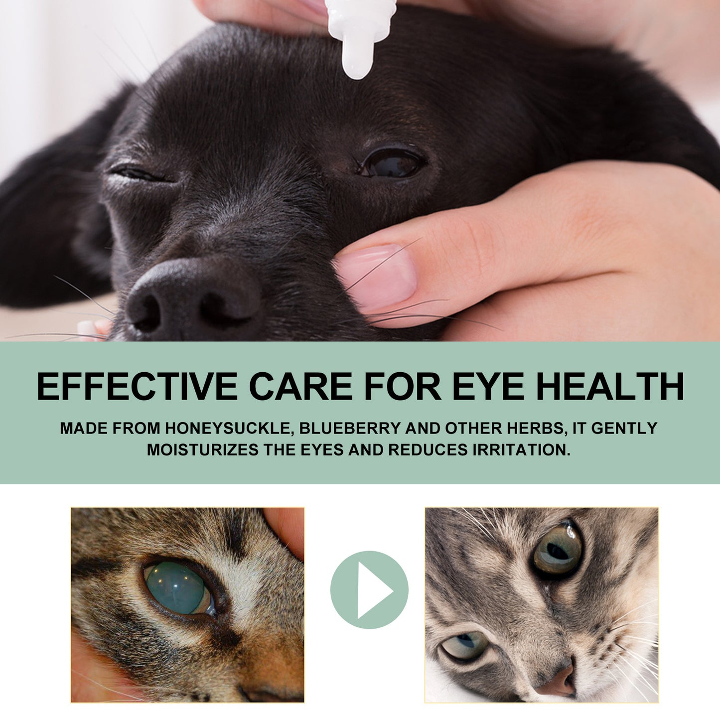 Yegbong Eye Drops For Cats And Dogs, Pet Eye Clean Eye Care Drops For Tear Stains And Dirt