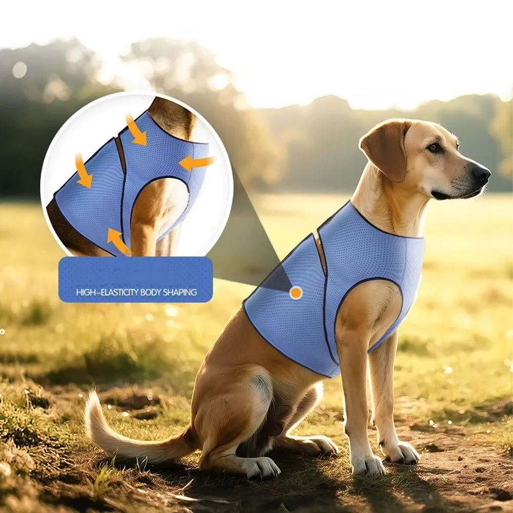 Breathable Dog Anxiety Vest