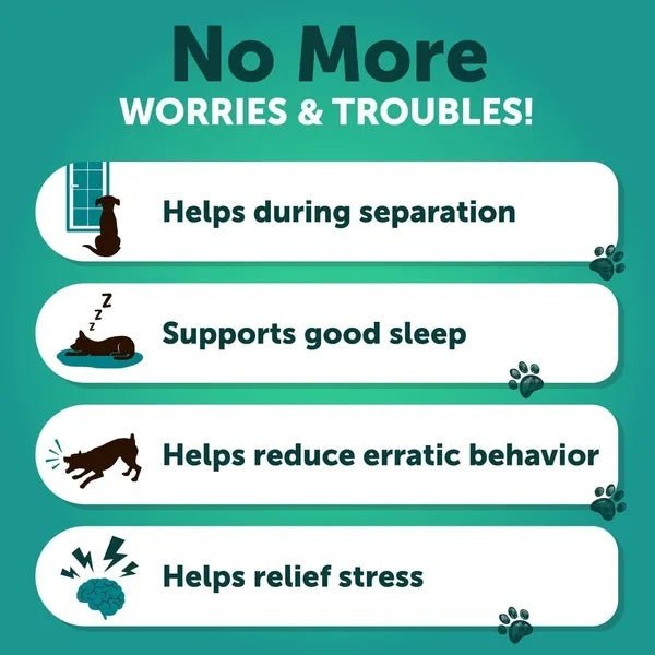 Anxiety Relief Treats Supplements - Pet Zen Club