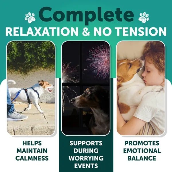 Anxiety Relief Treats Supplements - Pet Zen Club