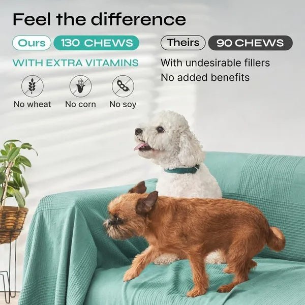 Calming Chews For Anxiety - Pet Zen Club