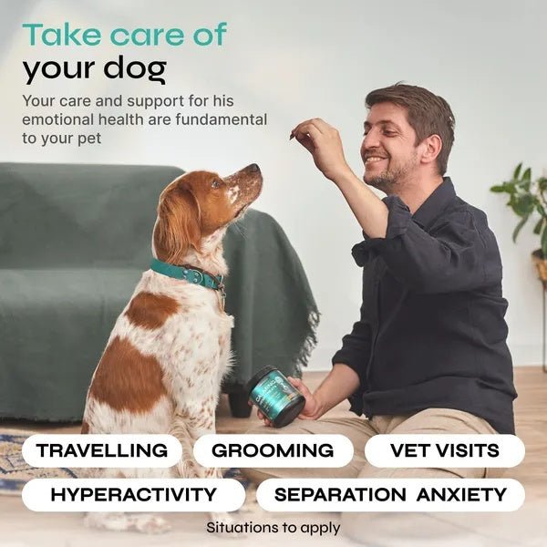 Calming Chews For Anxiety - Pet Zen Club