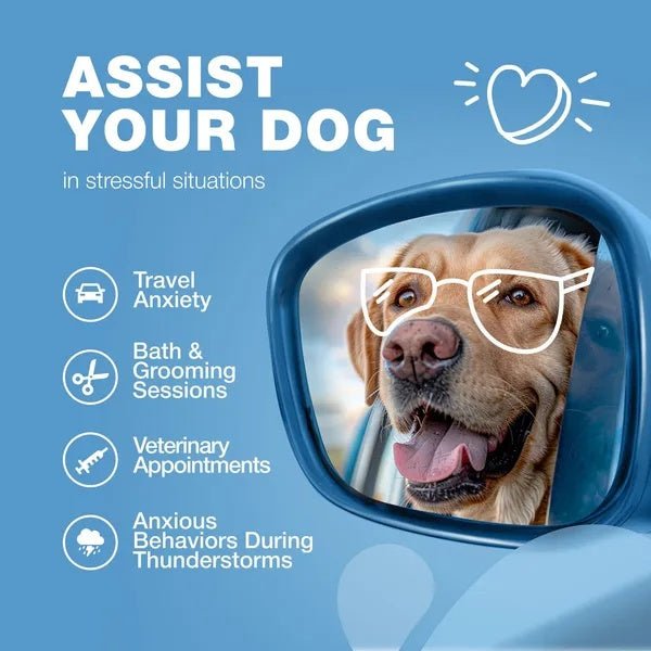 Hemp Calming Chews For Dogs Dog Calming Treats Anxiety Relief For Dogs - Pet Zen Club