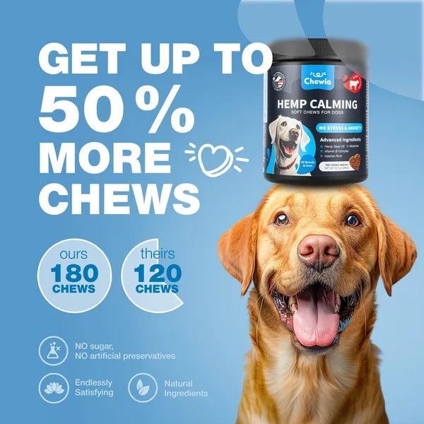Hemp Calming Chews For Dogs Dog Calming Treats Anxiety Relief For Dogs - Pet Zen Club