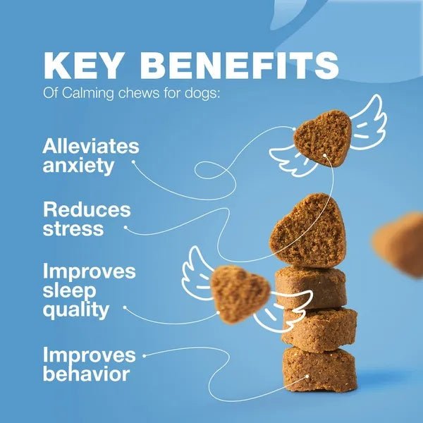 Hemp Calming Chews For Dogs Dog Calming Treats Anxiety Relief For Dogs - Pet Zen Club