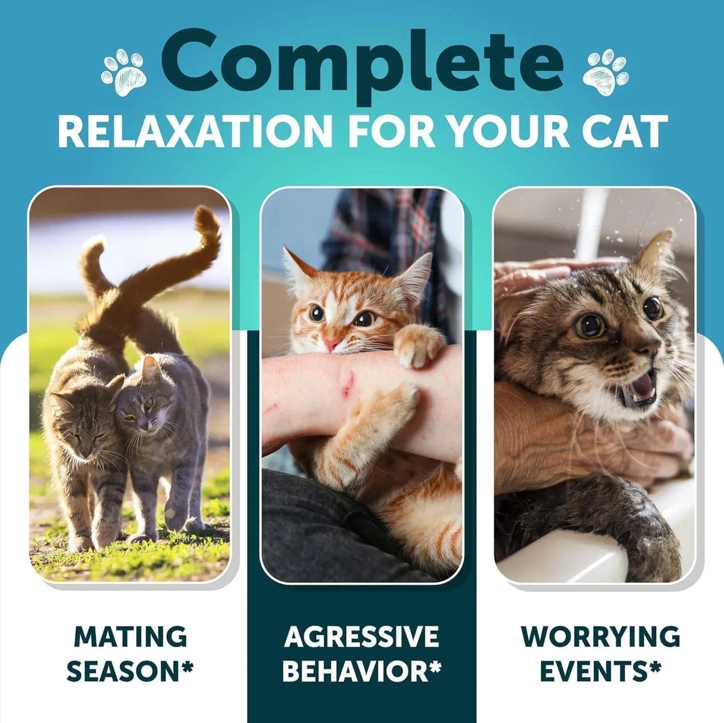 Hemp Cat Calming Treats For Stress & Anxiety Relief Cat Kittens Melatonin - Pet Zen Club