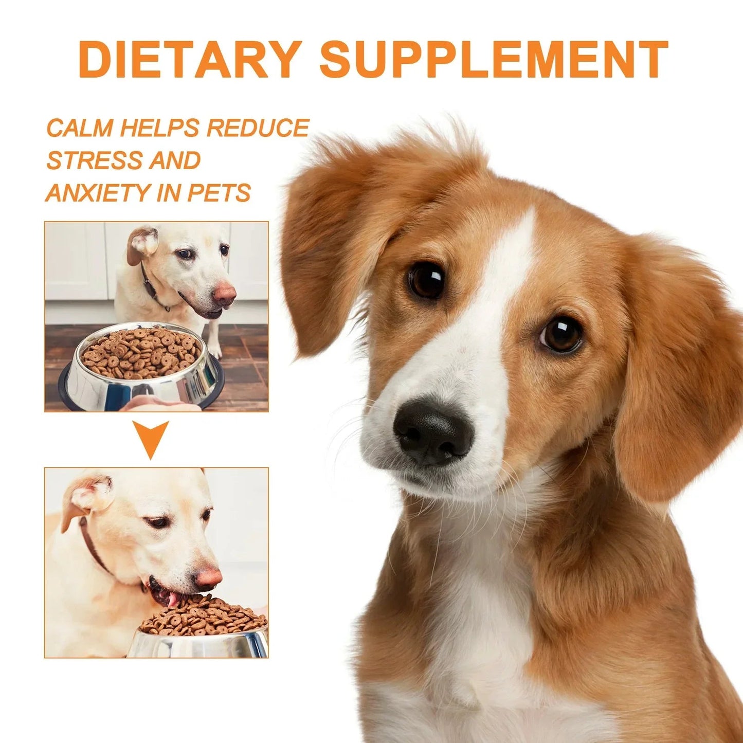 Natural Organic Calming Drops - Pet Zen Club