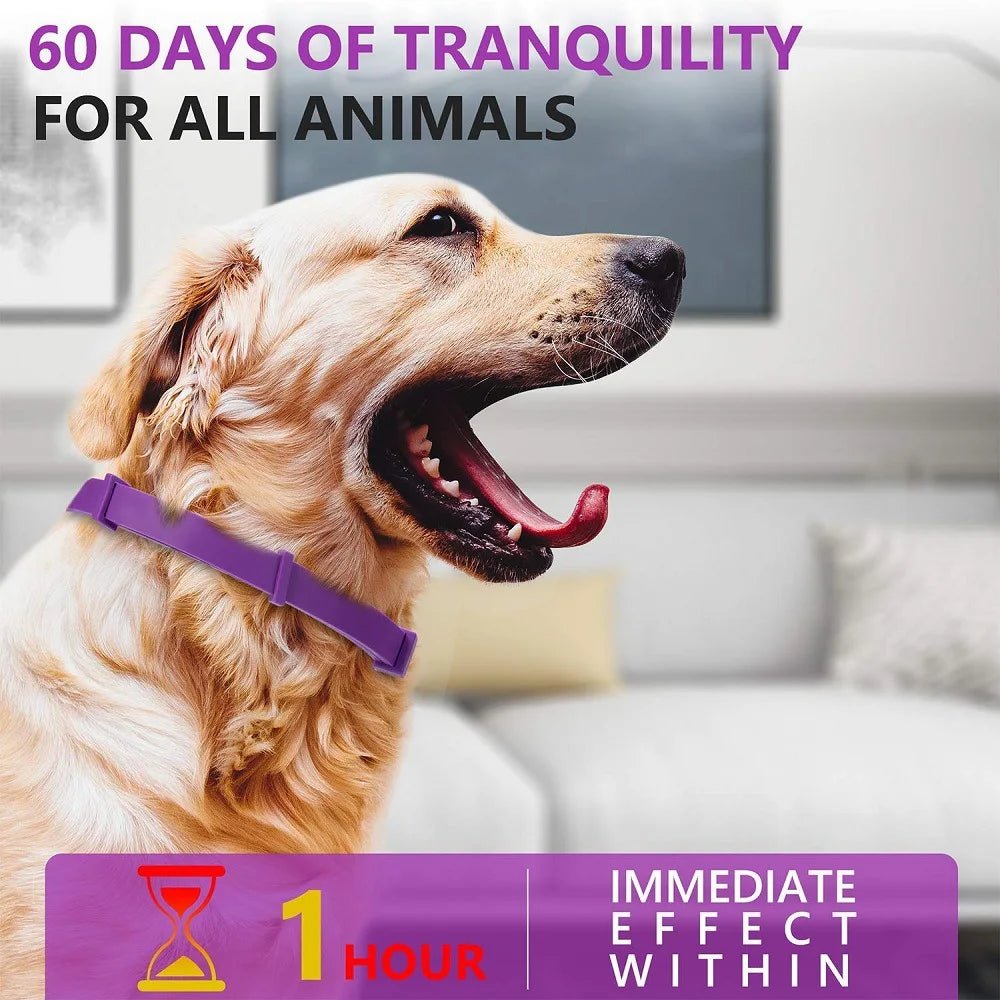 Pet Calm Collar - Pet Zen Club