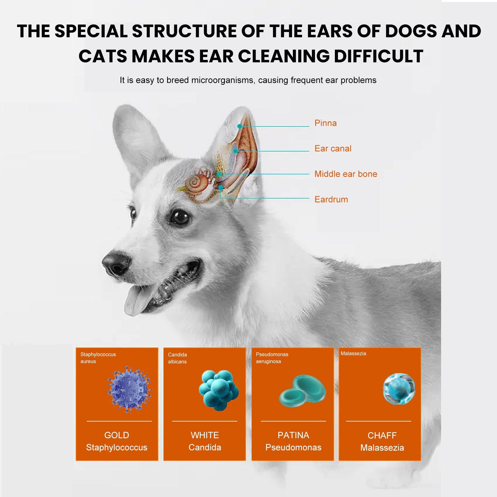 Pet Ear Wipes Deodorizing Removing Mite - Pet Zen Club