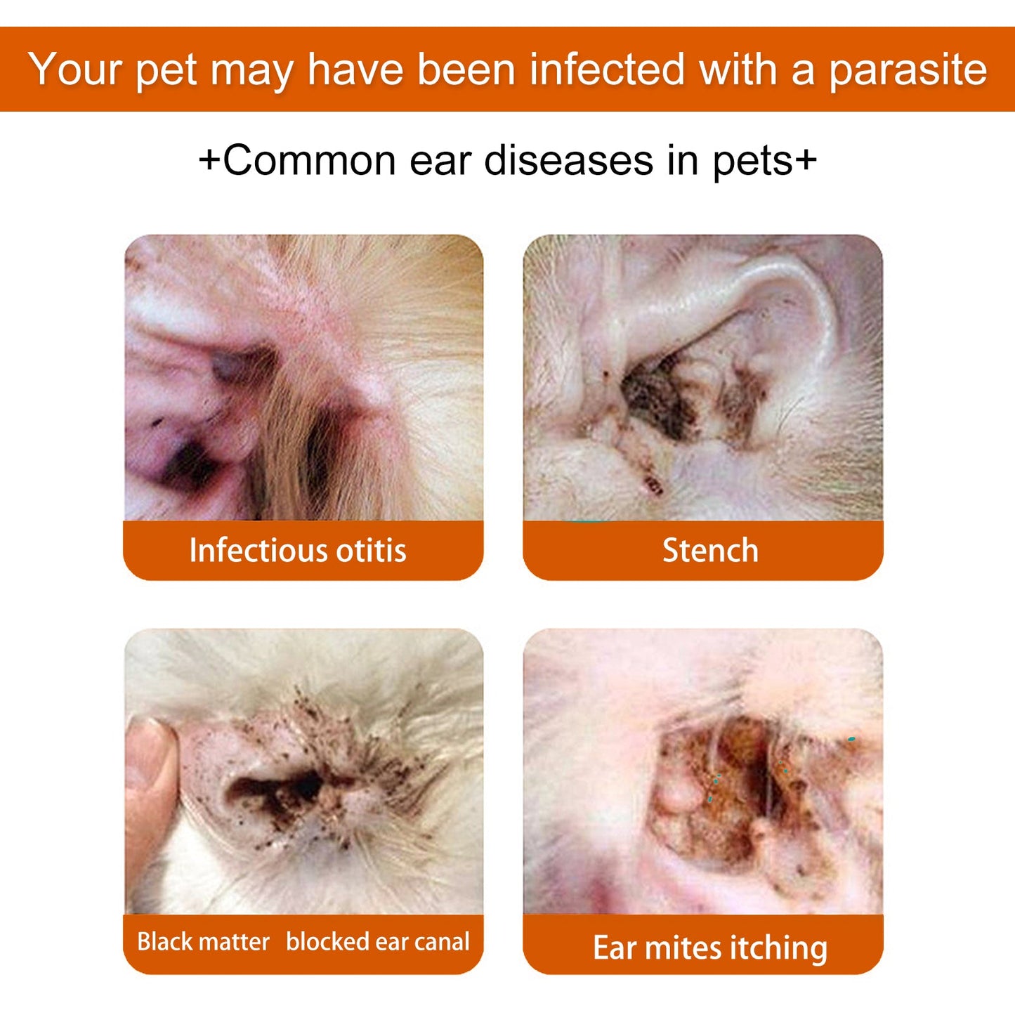 Pet Ear Wipes Deodorizing Removing Mite - Pet Zen Club