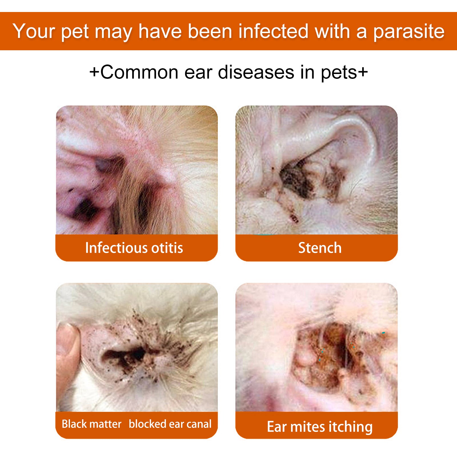 Pet Ear Wipes Deodorizing Removing Mite - Pet Zen Club