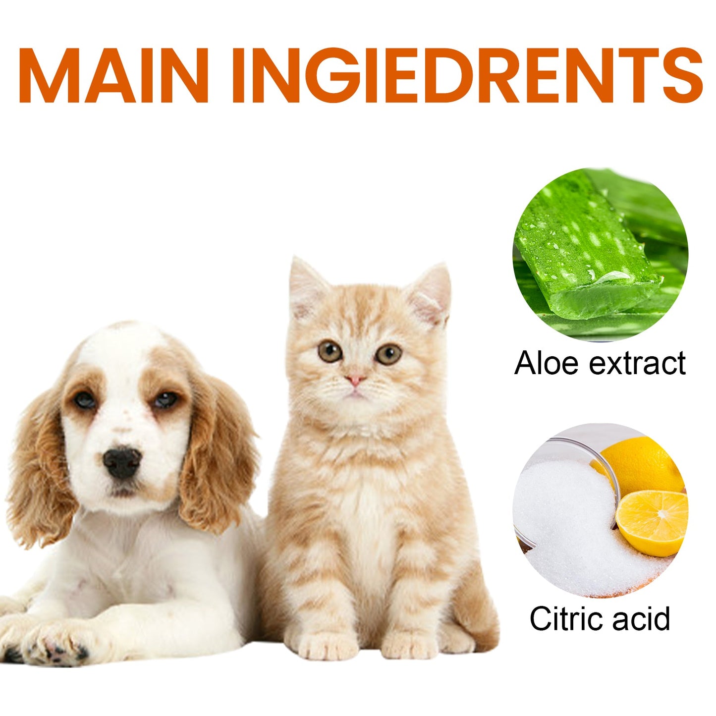 Pet Ear Wipes Deodorizing Removing Mite - Pet Zen Club