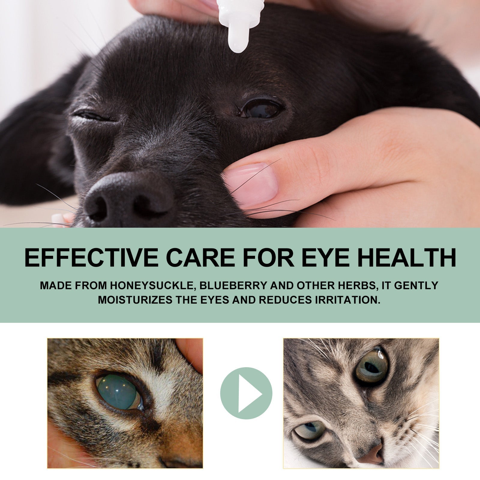 Yegbong Eye Drops For Cats And Dogs, Pet Eye Clean Eye Care Drops For Tear Stains And Dirt - Pet Zen Club