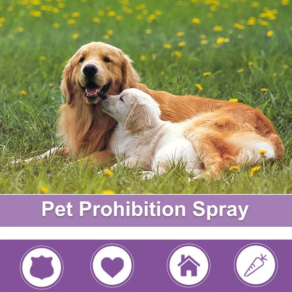 50ml Pet Calming Spray Prevent Howling Reduce Anxiety Soothe Mood Pet Dog Cat Estrus Calming Prohibition Spray Pet Supplies - Pet Zen Club