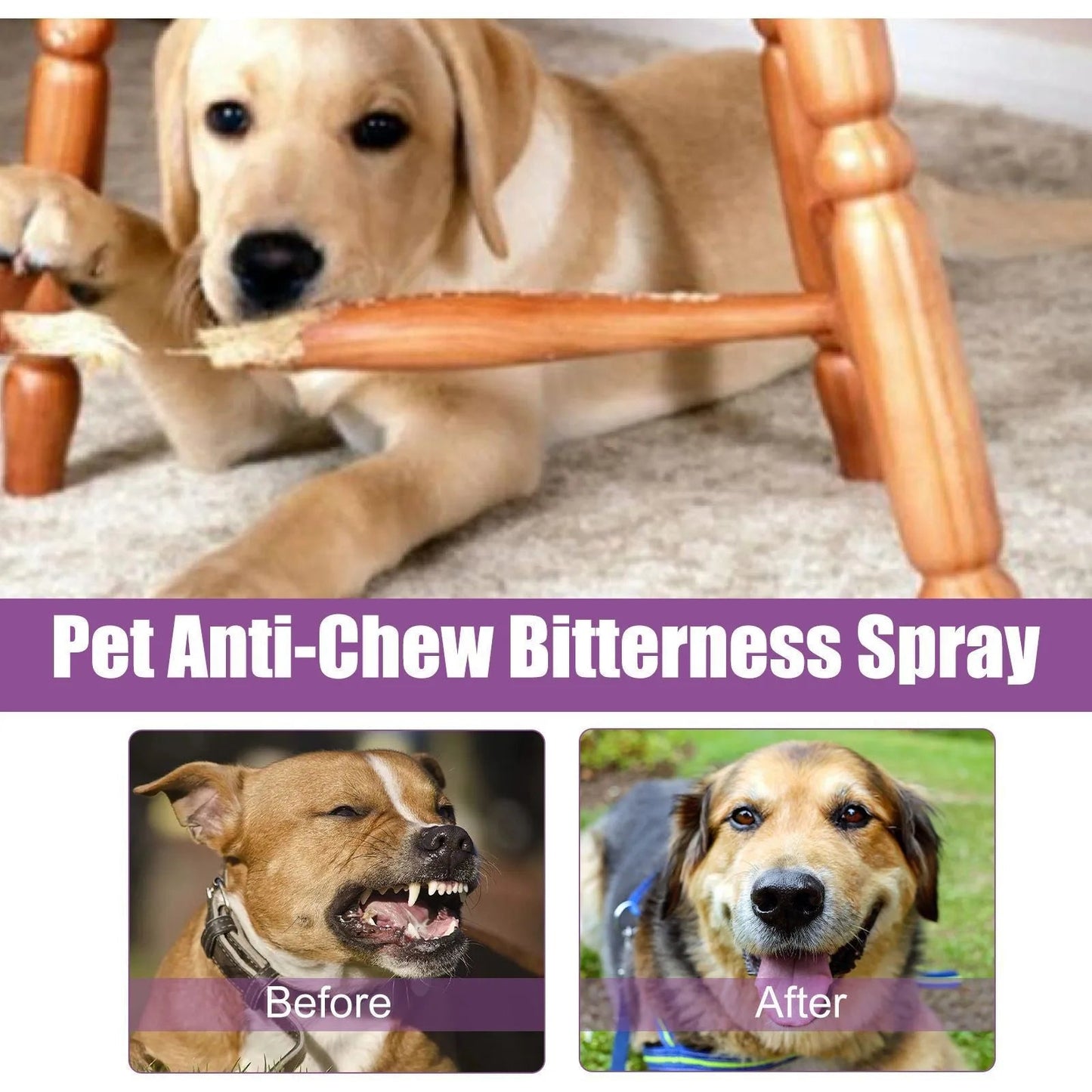 50ml Pet Relaxants Dog Noise Reduction Calming Spray For Barking Restless End The Dog'S Negative Behavior Pet Health Supplies - Pet Zen Club