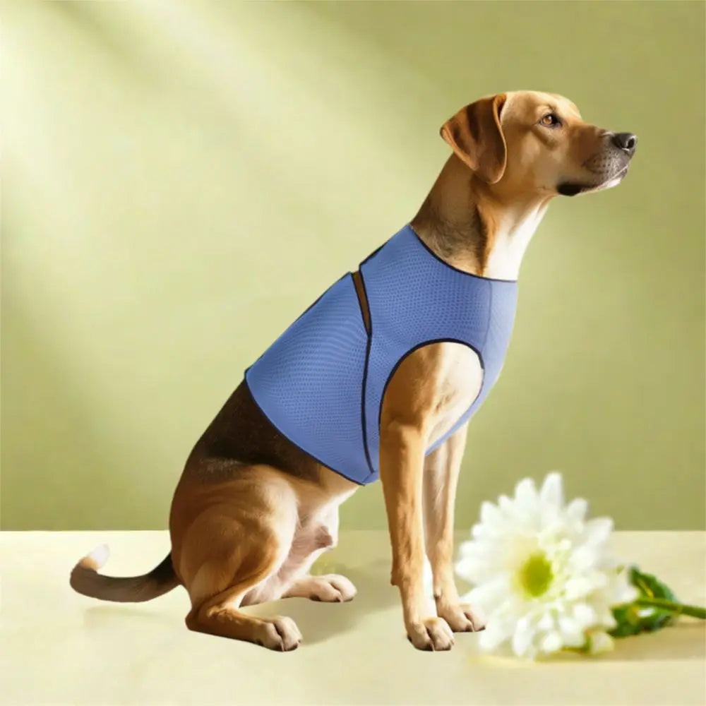 Breathable Dog Anxiety Vest