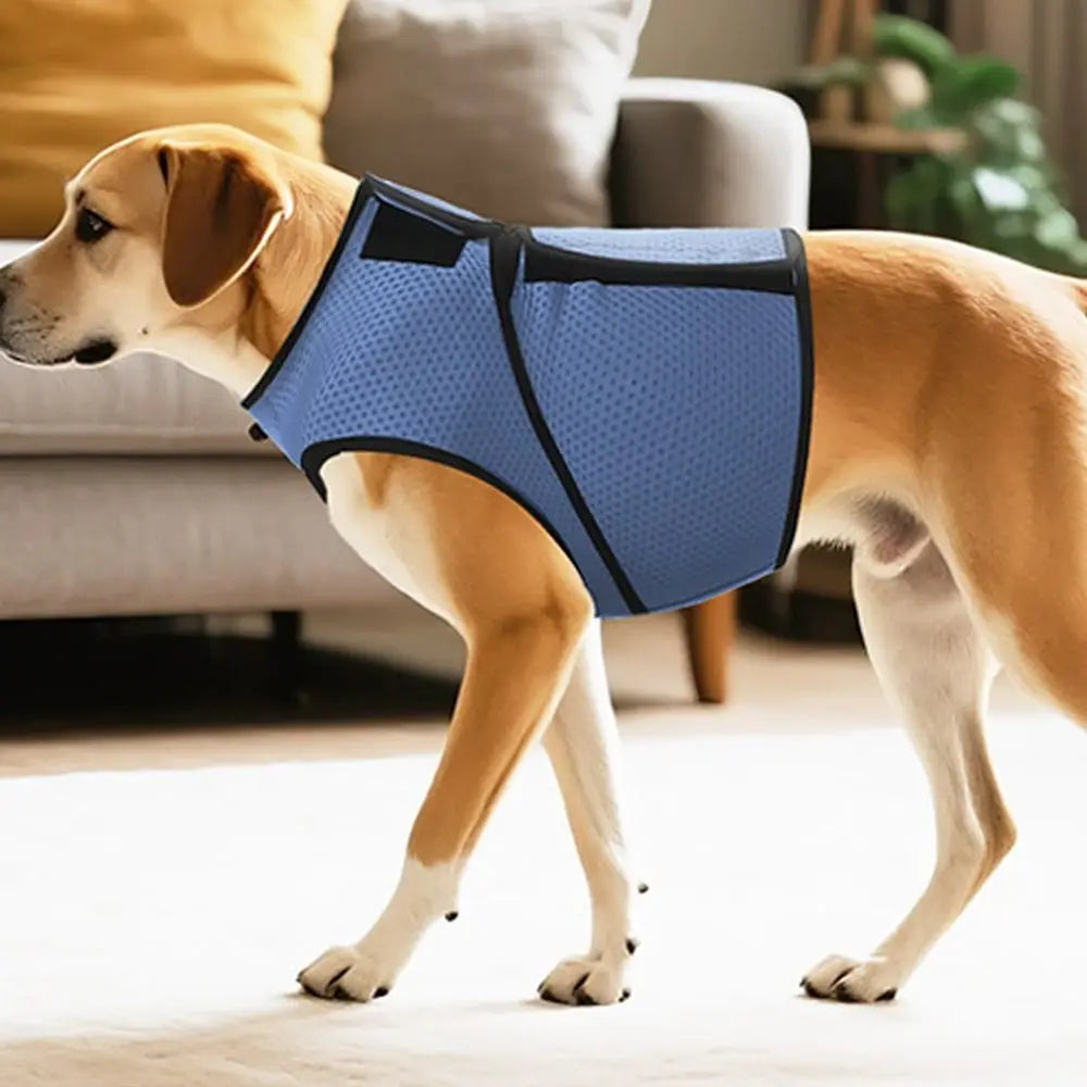 Breathable Dog Anxiety Vest