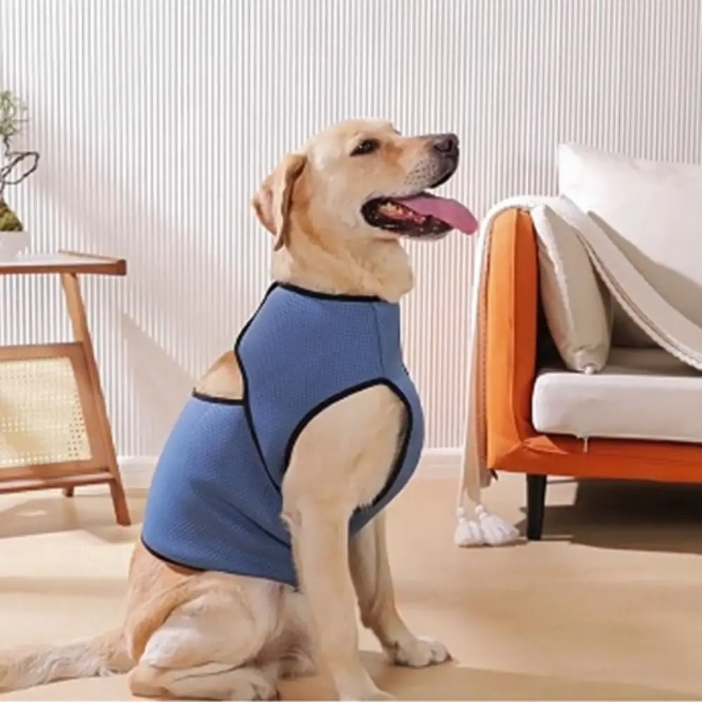 Breathable Dog Anxiety Vest