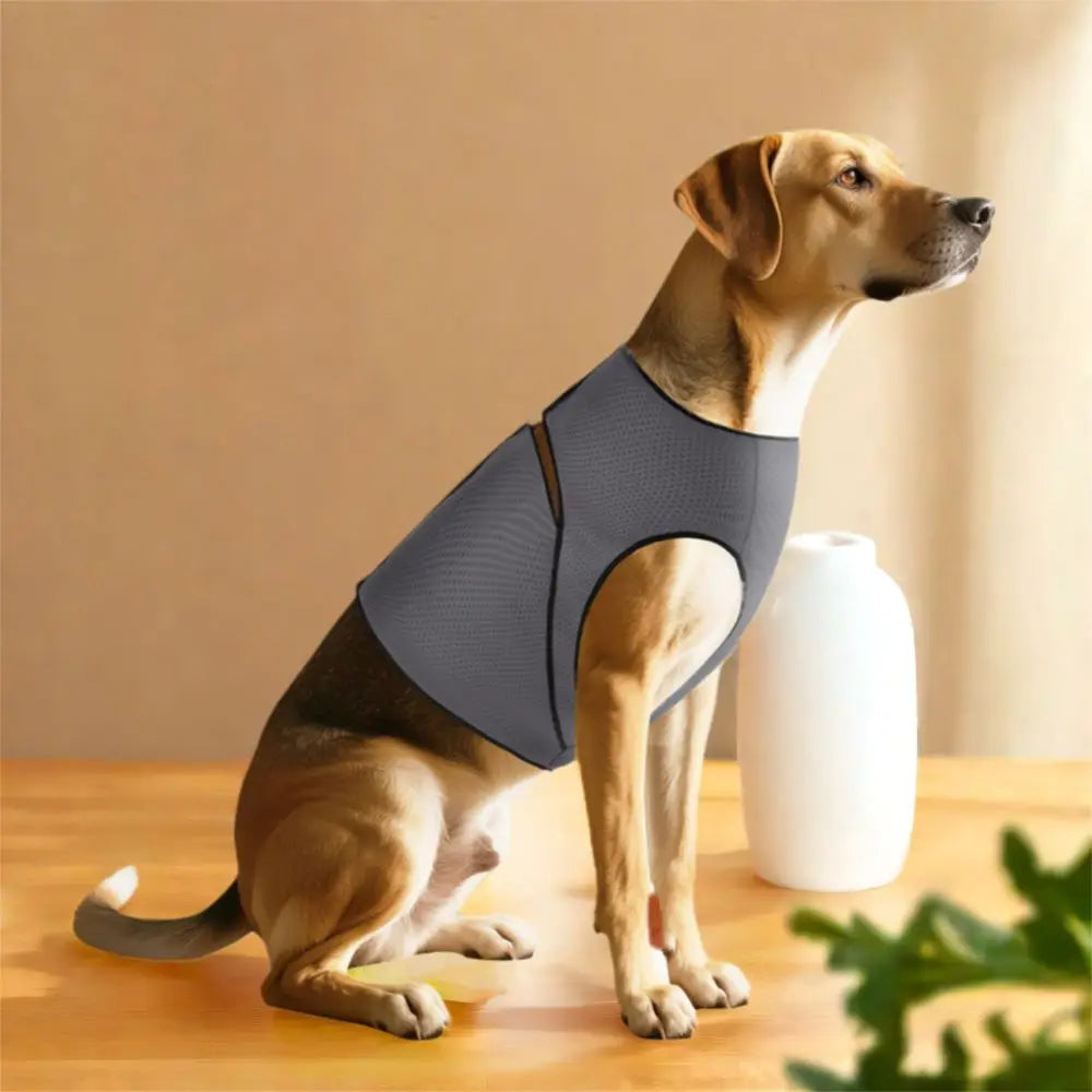 Breathable Dog Anxiety Vest