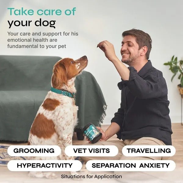 Calming Chews For Dogs Chicken Flavor All Canine Breeds Vet Visits Travel 130 Chews - Pet Zen Club