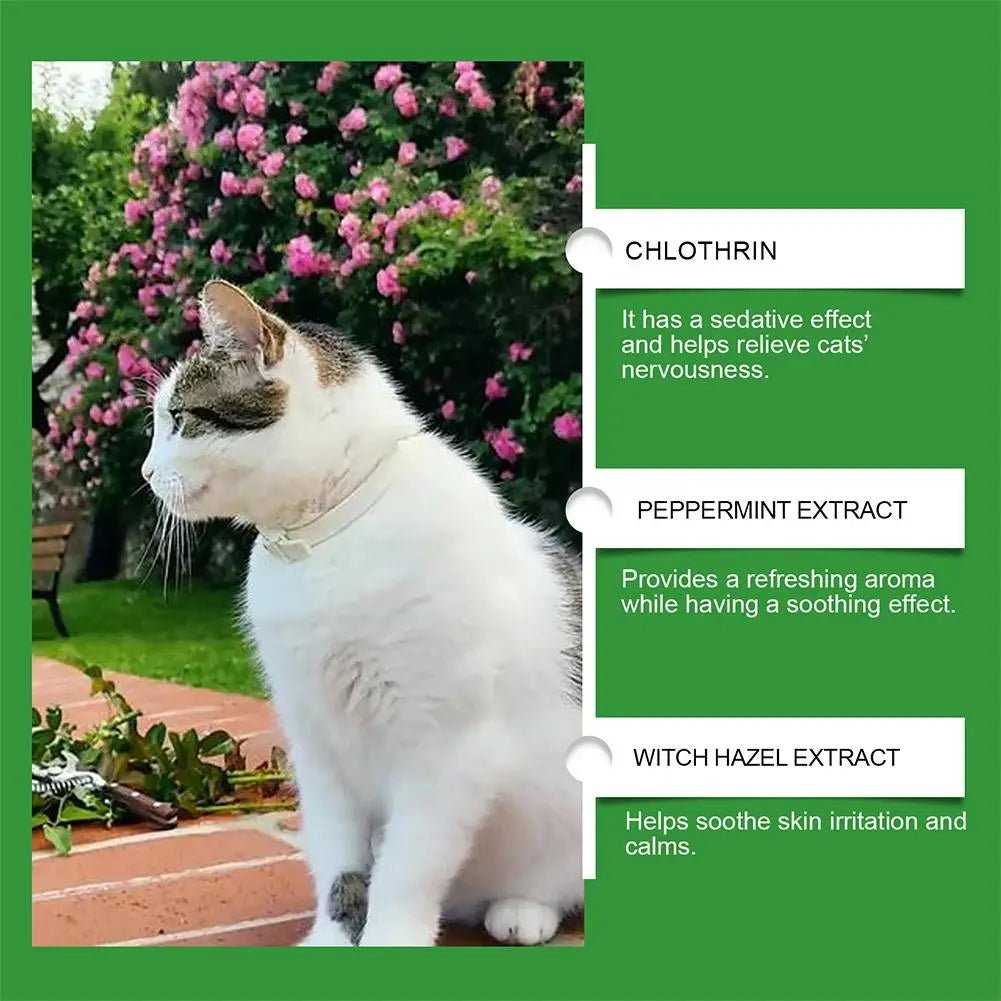 Cat Calming Diffuser Kit - Pet Zen Club
