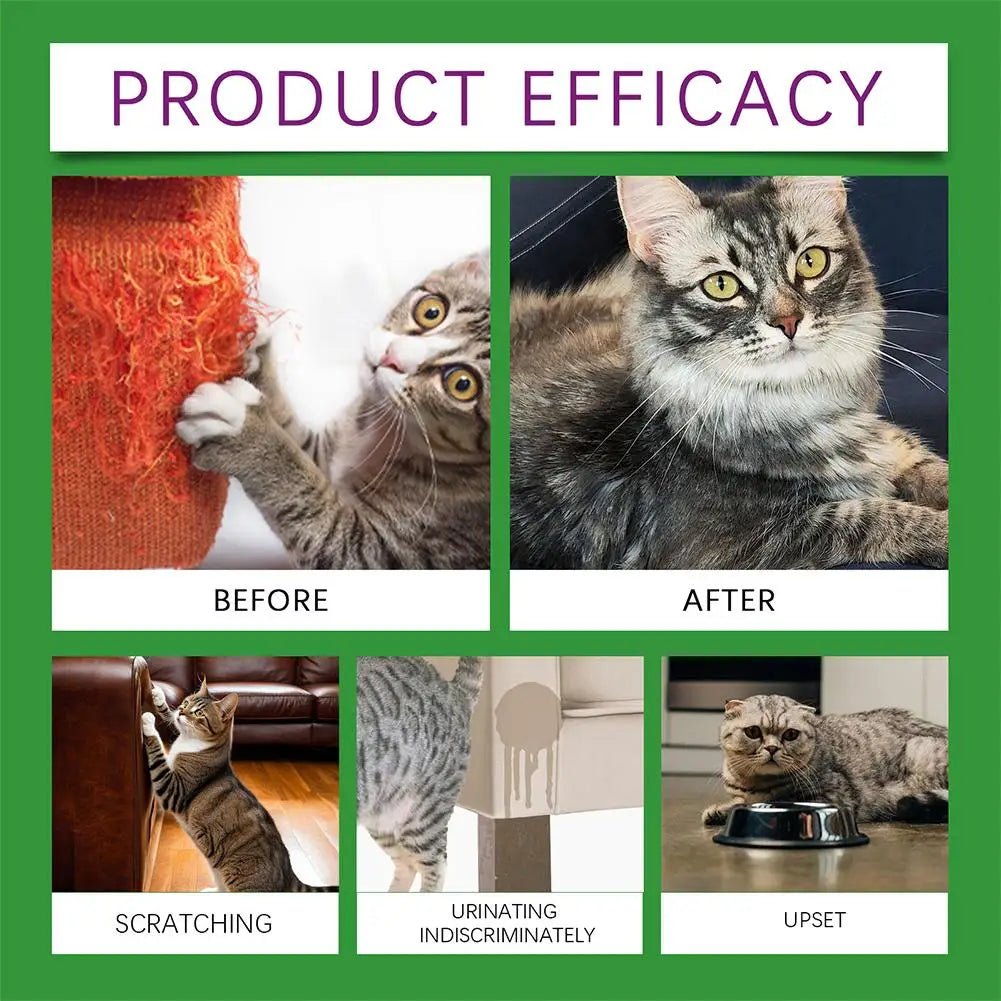 Cat Calming Diffuser Kit - Pet Zen Club