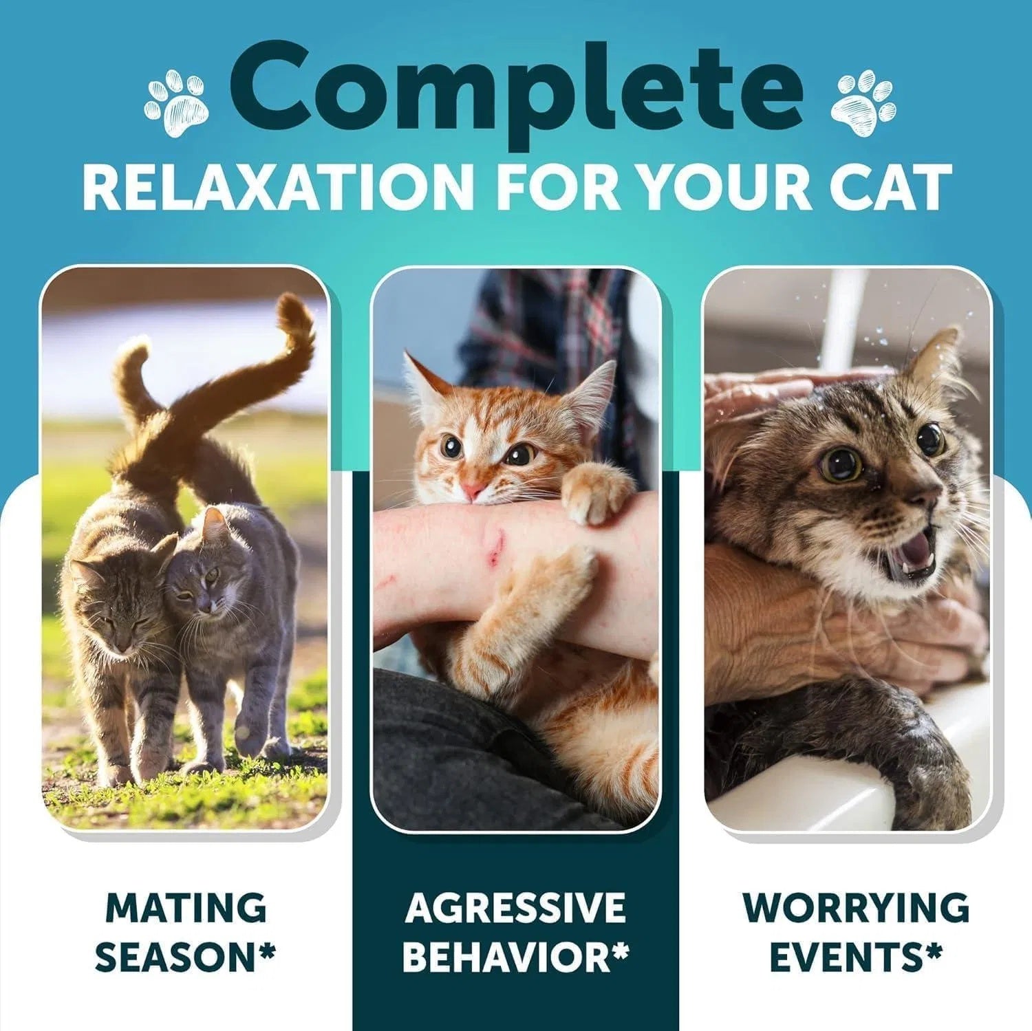 Hemp Cat Calming Treats For Stress & Anxiety Relief Cat Kittens Melatonin - Pet Zen Club