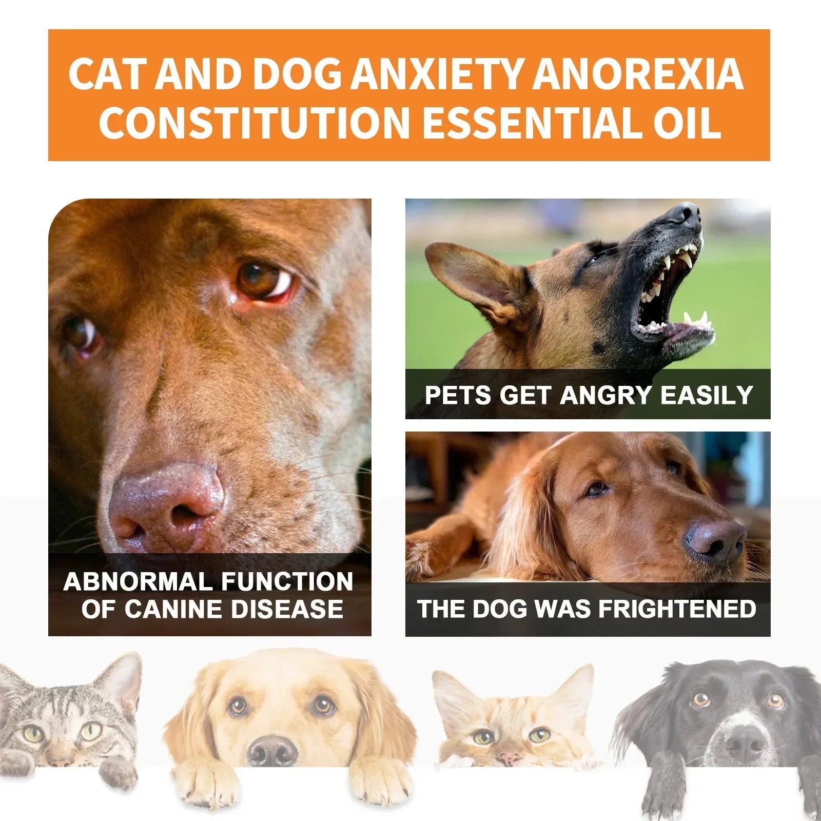 Natural Organic Calming Drops - Pet Zen Club