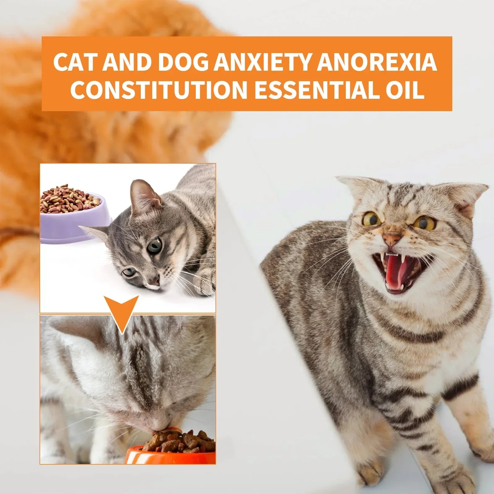 Natural Organic Calming Drops - Pet Zen Club