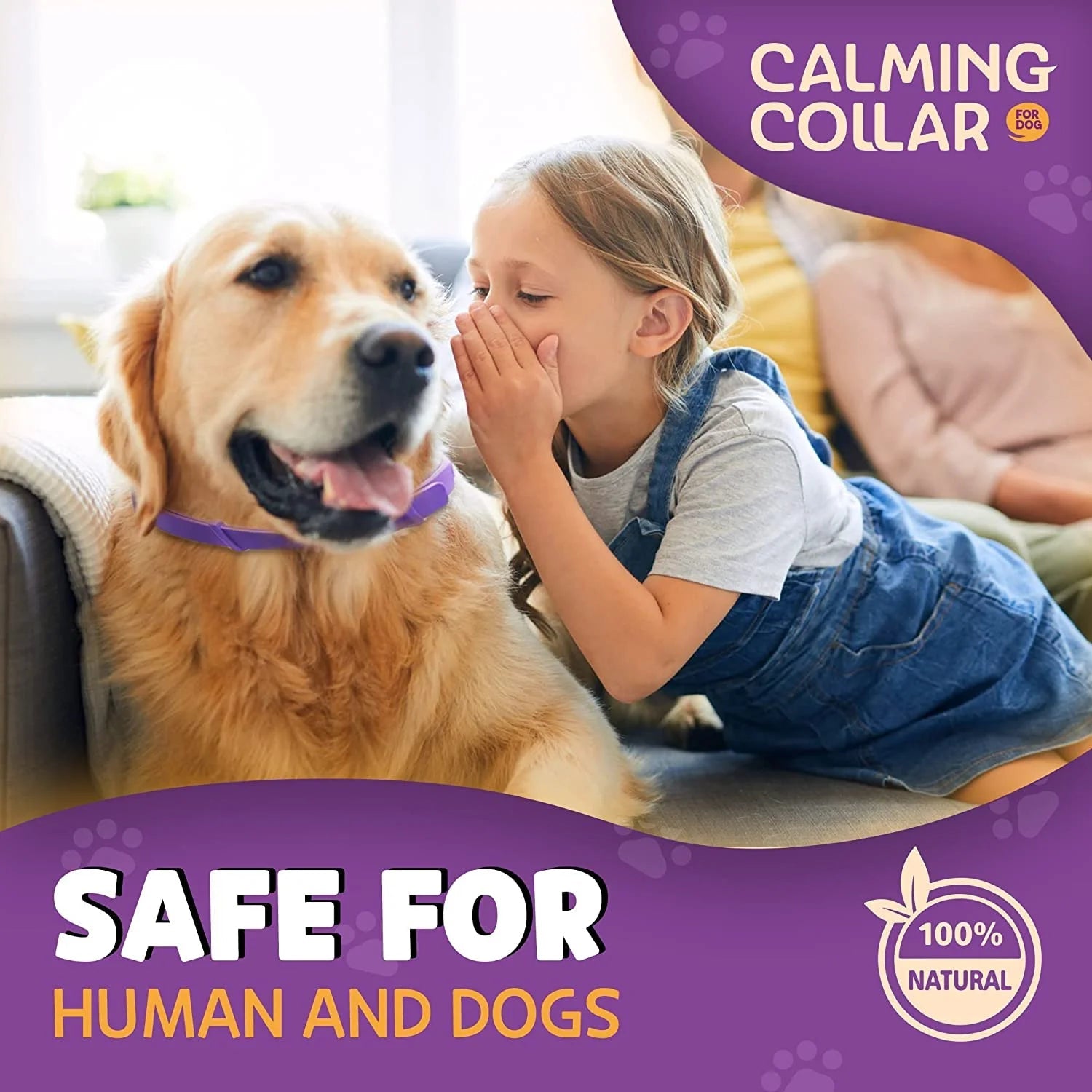 Pet Calm Collar - Pet Zen Club