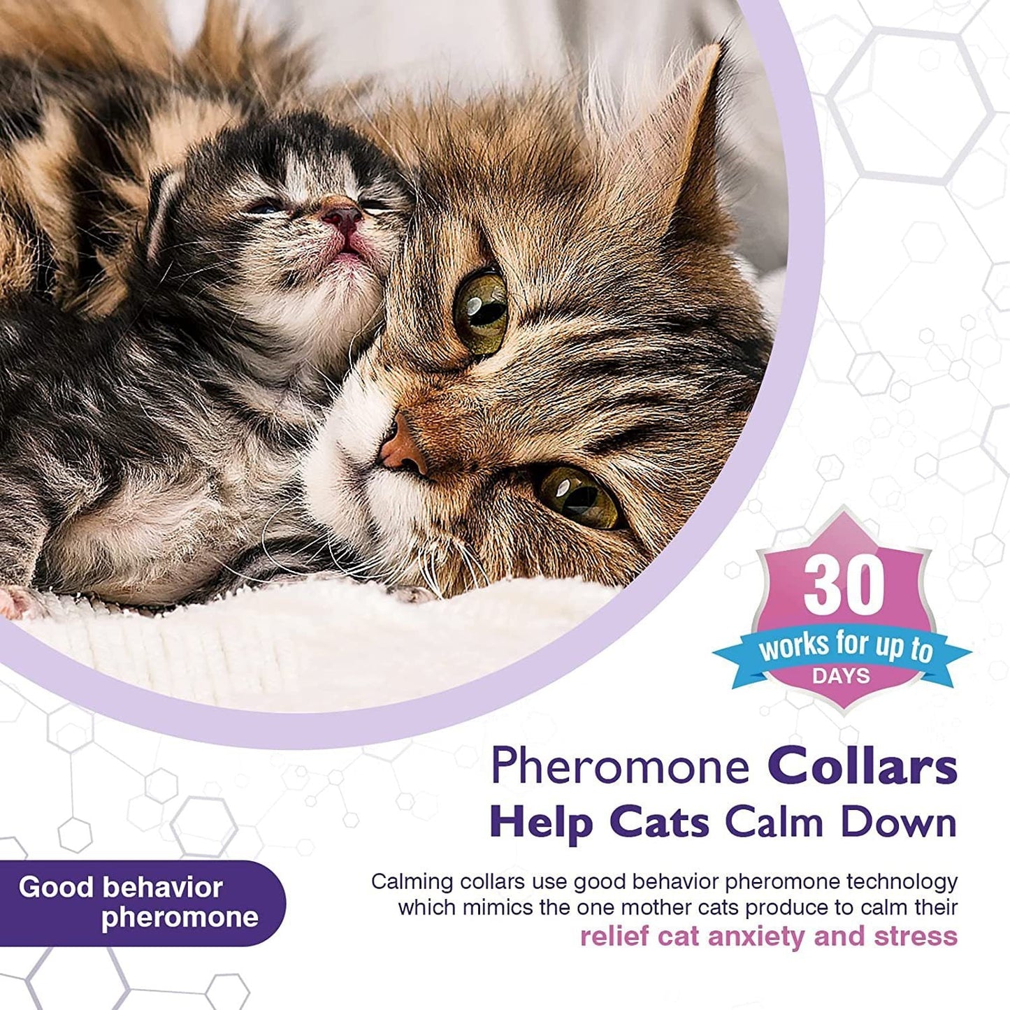 Pet Calm Collar Cat Comfort Collar Relieve Anxiety - Pet Zen Club