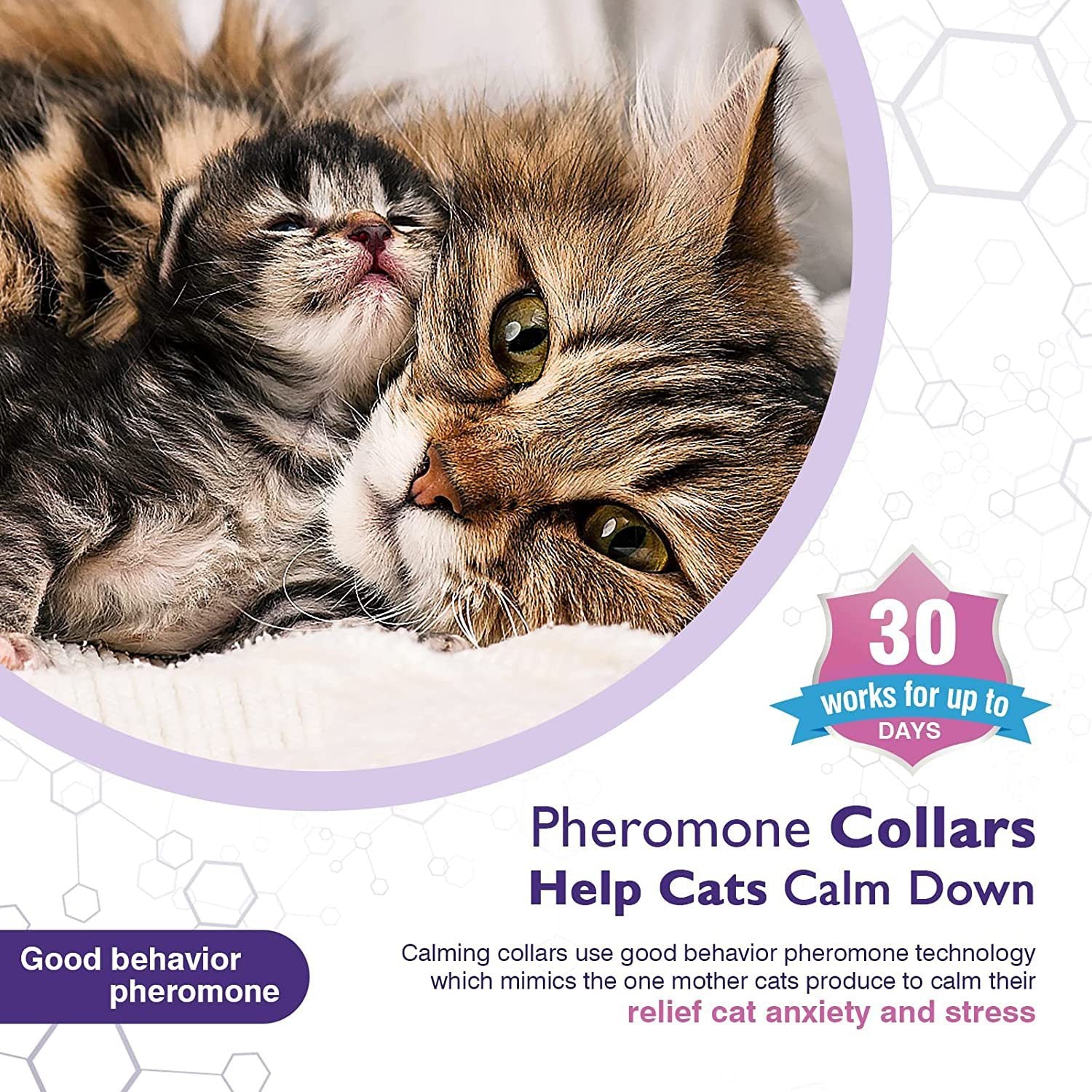 Pet Calm Collar Cat Comfort Collar Relieve Anxiety - Pet Zen Club