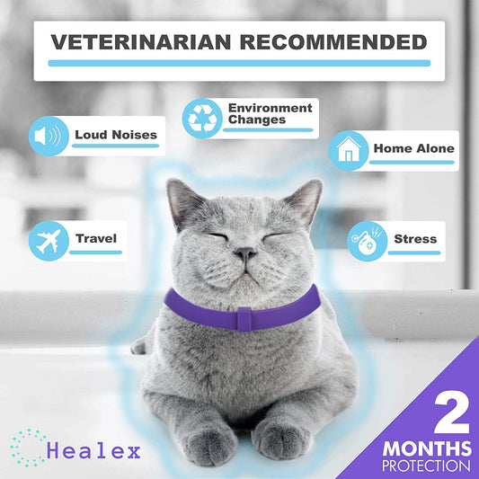 Pet Calm Collar Cat Comfort Collar Relieve Anxiety - Pet Zen Club