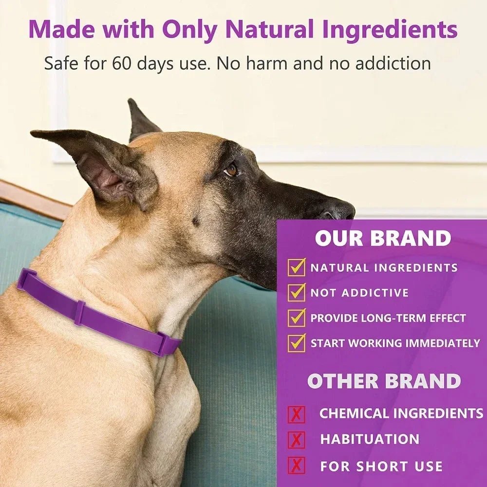 Pet Calming Collar for Cat & Dog - Adjustable Anxiety Pheromone Reducing Pet Collar Lasting Calm Relax Soothing Collars - Pet Zen Club