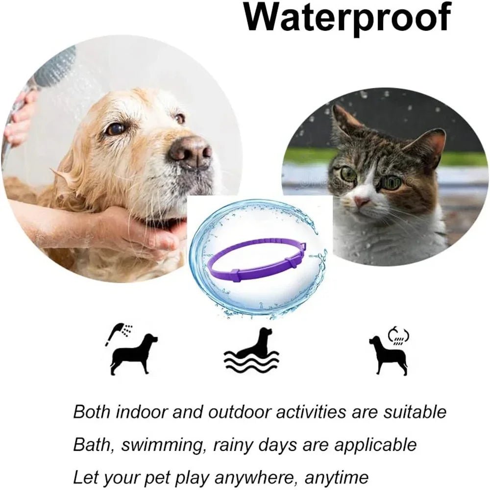 Pet Calming Collar for Cat & Dog - Adjustable Anxiety Pheromone Reducing Pet Collar Lasting Calm Relax Soothing Collars - Pet Zen Club