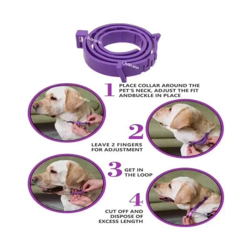 Pet Calming Collar for Cat & Dog - Adjustable Anxiety Pheromone Reducing Pet Collar Lasting Calm Relax Soothing Collars - Pet Zen Club