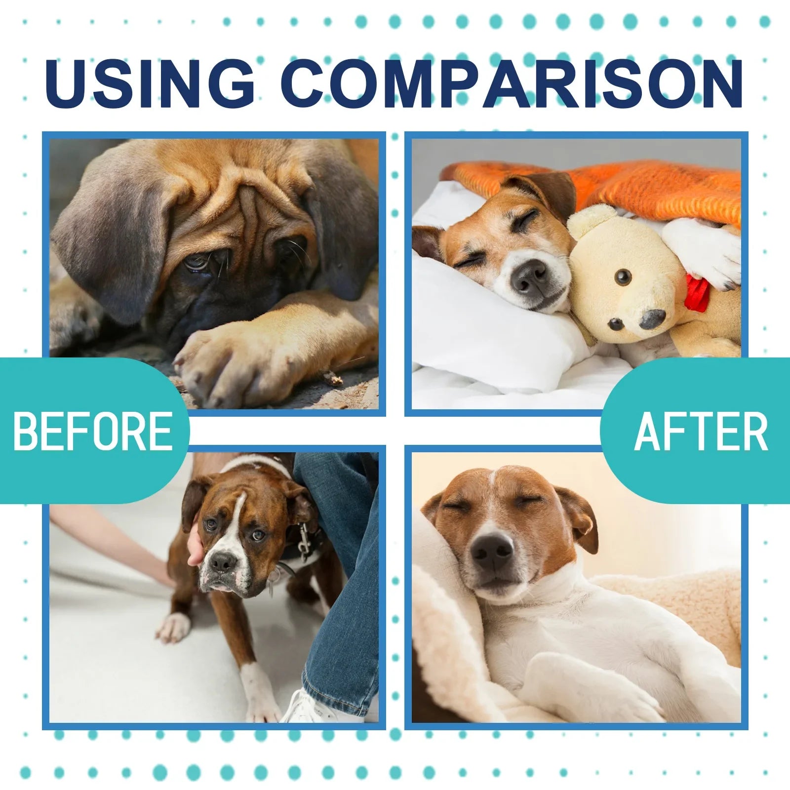Pet Calming Liquid Dog Emotions Relief Noise Reduction Train Anti Anxiety Fighting Calming Diffuser Manage Cat Calm down Fluid - Pet Zen Club
