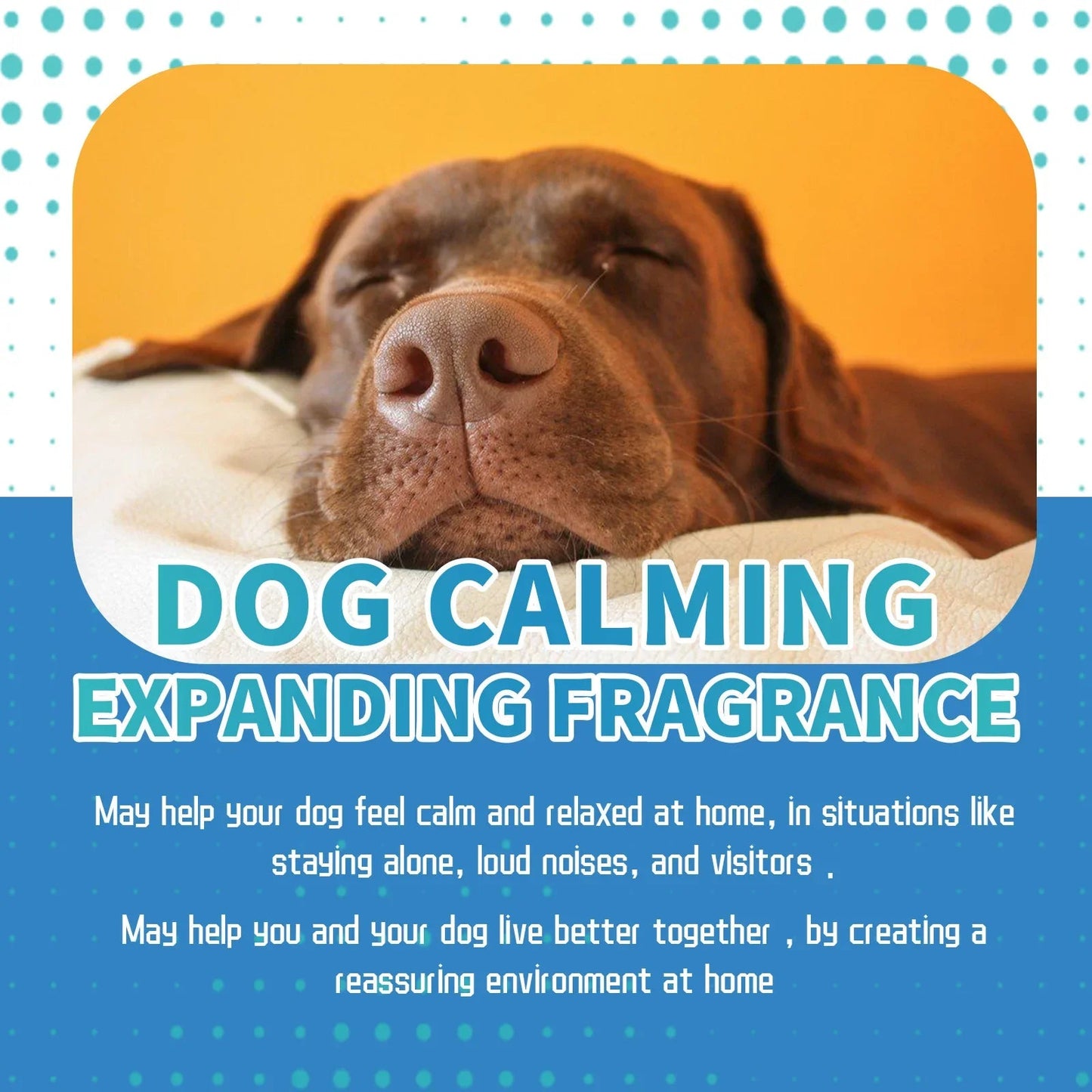 Pet Calming Liquid Dog Emotions Relief Noise Reduction Train Anti Anxiety Fighting Calming Diffuser Manage Cat Calm down Fluid - Pet Zen Club
