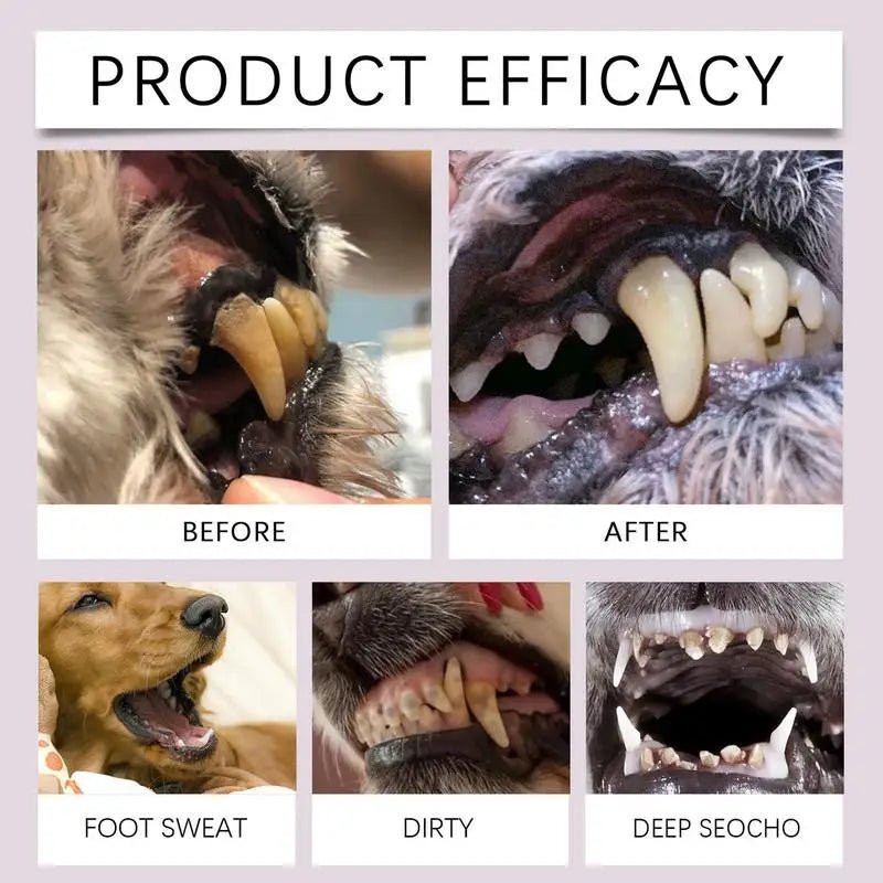 Pet Teeth Cleaning Pen Pet Dental Pen dog Toothbrush Pen Fresh Breath Tooth Whitening Cat Teeth Refreshing Pen pet supplies - Pet Zen Club