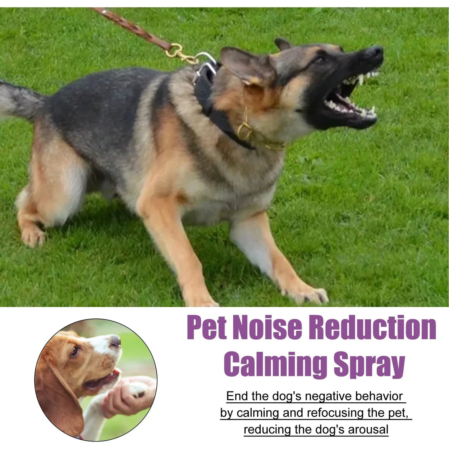 Pets Calming Spray Prevent Howling Relieve Stress Spray Manage Emotions Scratching Fighting Prevention Cat Anti - anxiety Liquid - Pet Zen Club